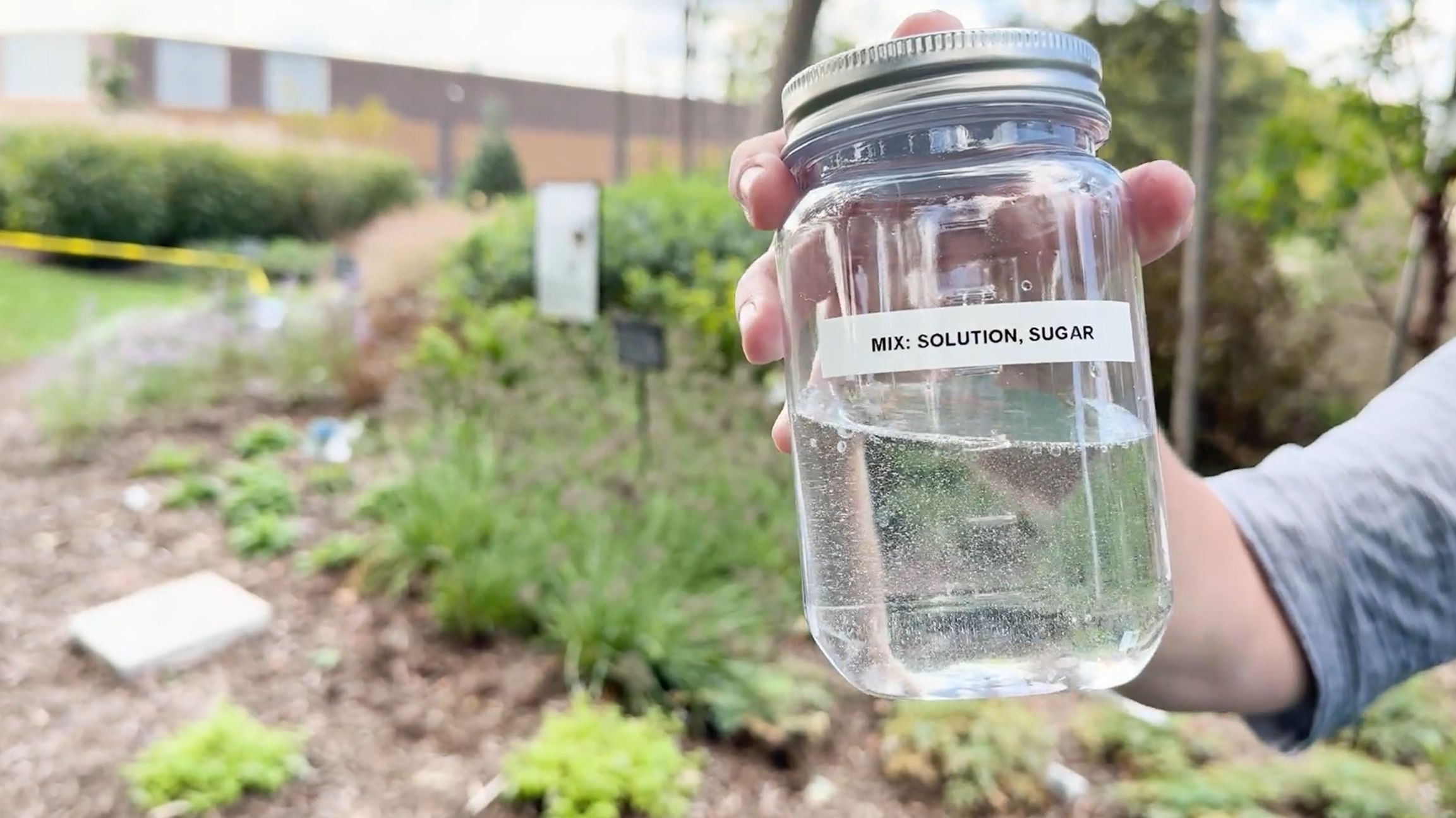 Jar of mixed solution from video
